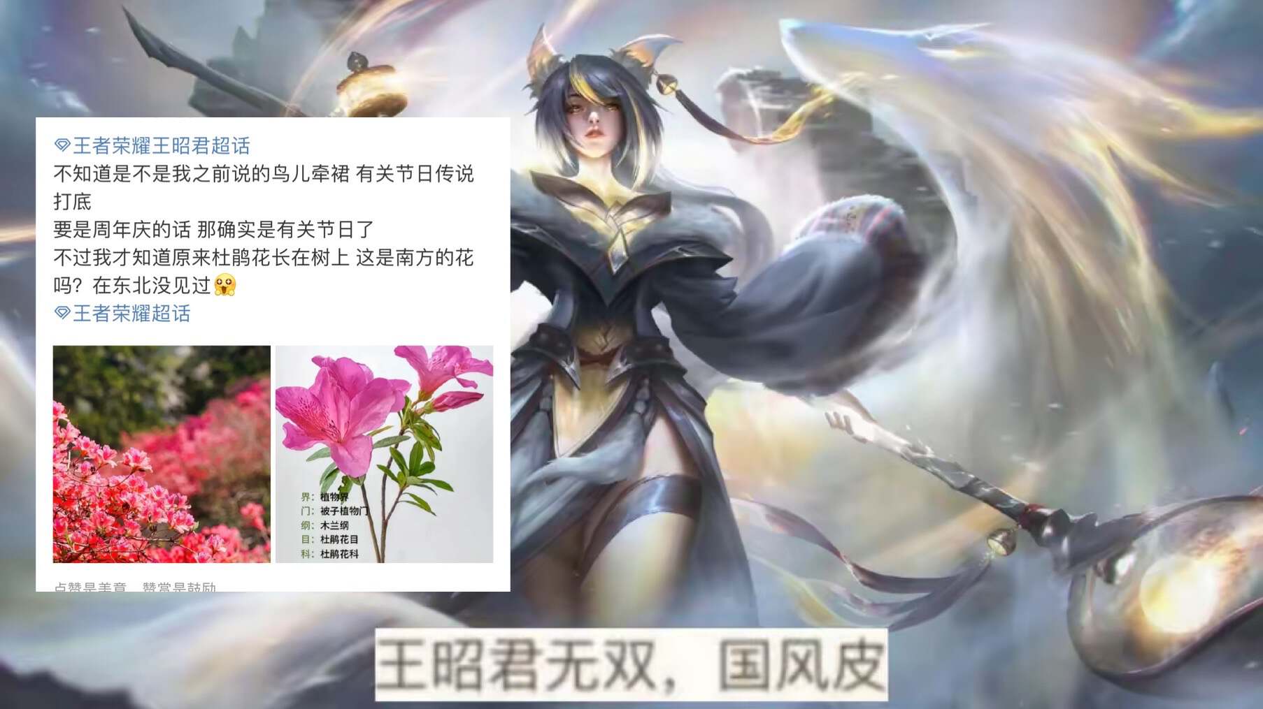 周年庆特效首爆,孙悟空限定返场,王昭君或有新皮肤,少司缘笑了